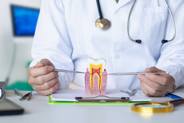 Best Emergency Cosmetic Dentistry (e.g., broken veneers) in Takoma Park, MD